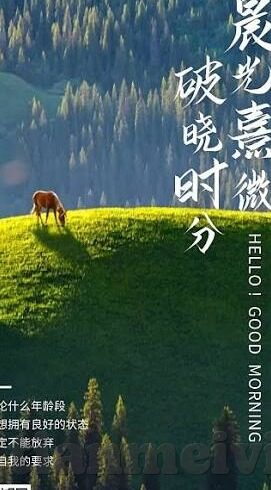 麻豆视传媒-麻豆视传媒，新视界下的多元创作探索